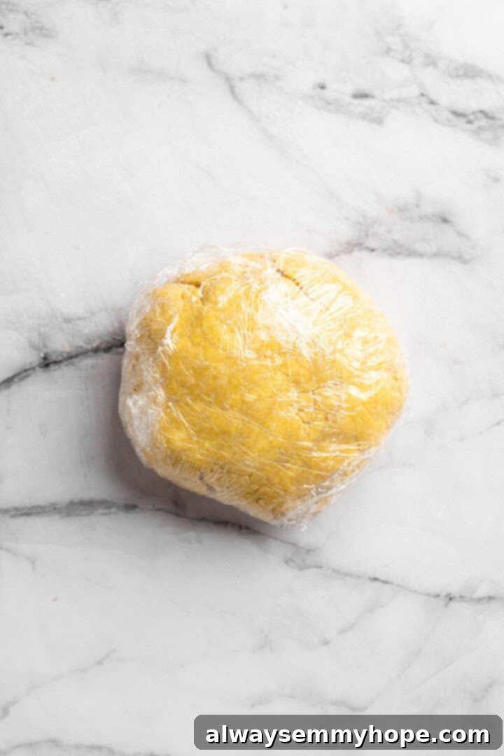 Dough wrapped in plastic wrap, chilling in the refrigerator