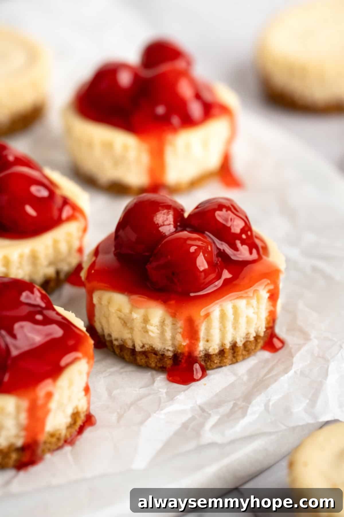Vegan mini cheesecakes are the perfect two-bite dessert, with a rich, creamy cheesecake filling no one can resist. So easy to make too! A fantastic plant-based dessert for any event. Mini vegan cheesecakes with cherry topping, showcasing their creamy texture and elegant presentation.
