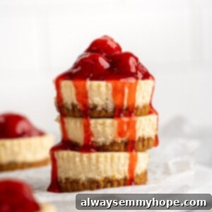 Bite-Sized Cheesecakes 2 Stack of 3 mini cheesecakes with cherry topping, beautifully presented and ready to be enjoyed.