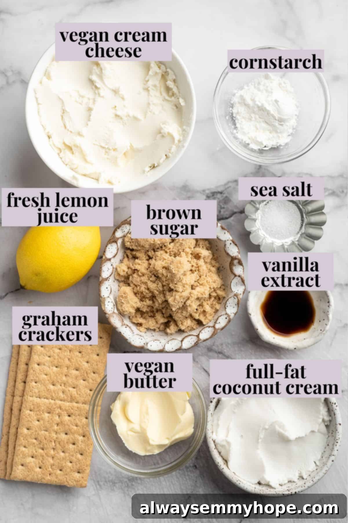 Vegan mini cheesecakes are the perfect two-bite dessert, with a rich, creamy cheesecake filling no one can resist. So easy to make too! Essential ingredients for your plant-based mini cheesecakes. Overhead view of all ingredients meticulously laid out for baking vegan mini cheesecakes, with clear labels for each item.