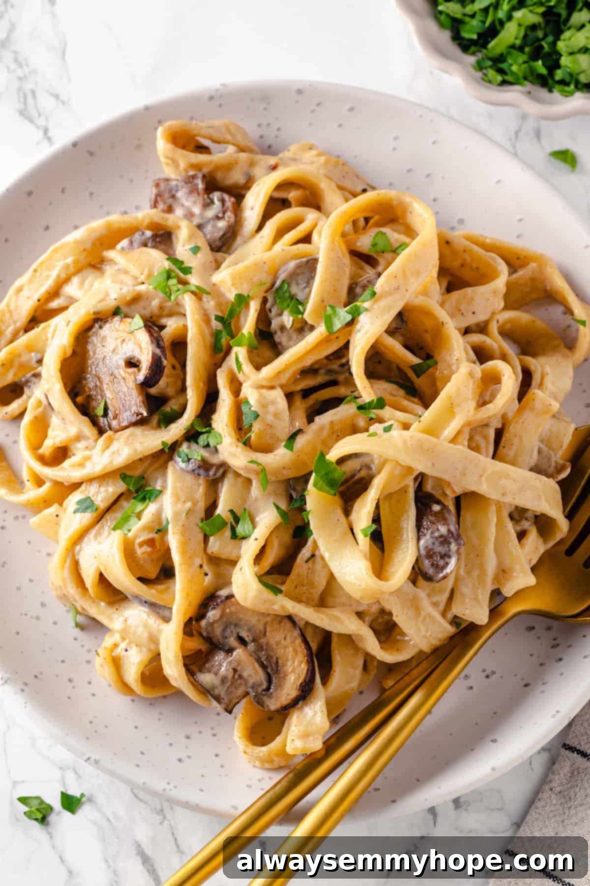 This vegan mushroom stroganoff is packed with umami, rich and creamy, and super satisfying. It’s a cozy recipe you’ll make again and again! Top-down view of mushroom stroganoff on plate, garnished with fresh parsley.