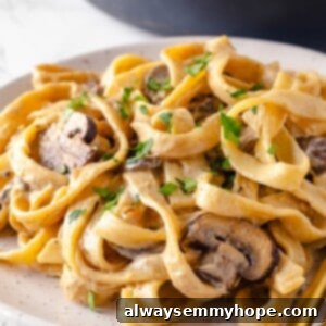 Creamy Mushroom Delight 2 Plate of creamy vegan mushroom stroganoff, garnished with fresh parsley.