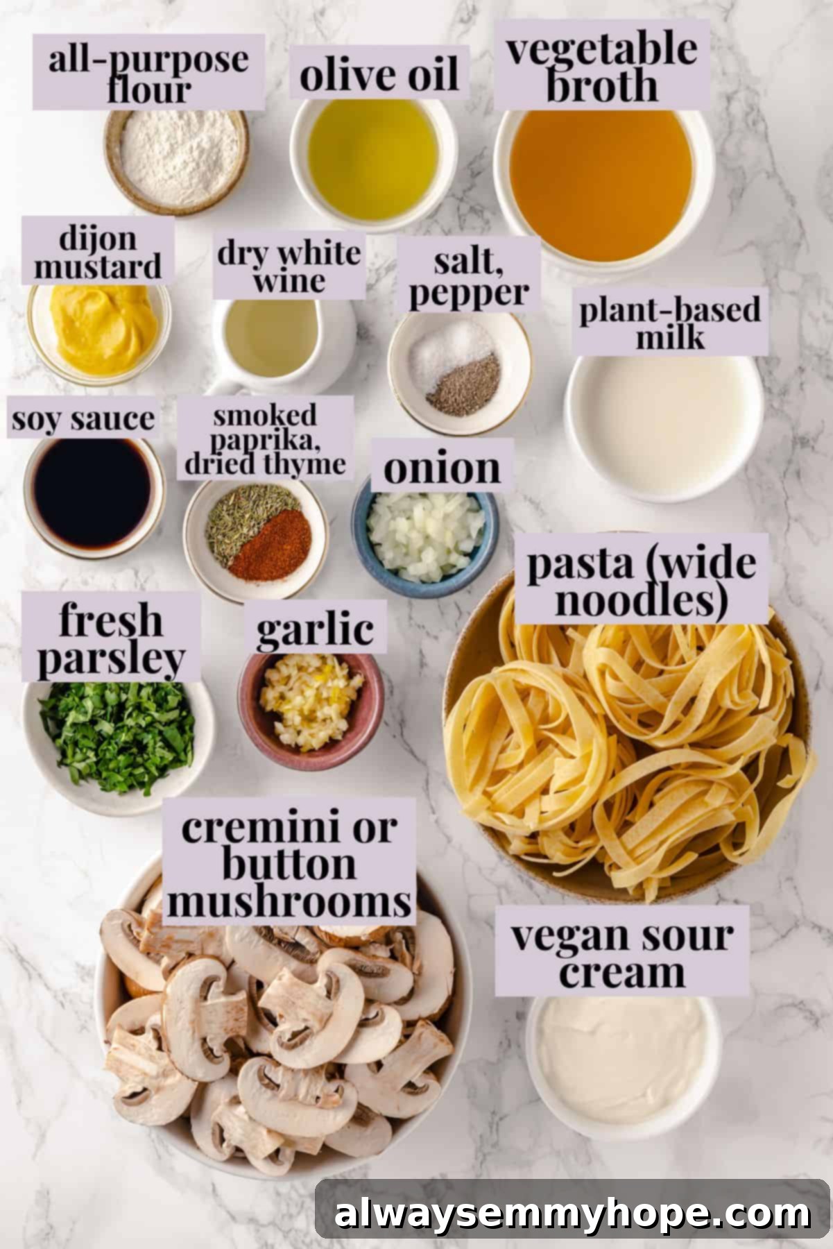 This vegan mushroom stroganoff is packed with umami, rich and creamy, and super satisfying. It’s a cozy recipe you’ll make again and again! Overhead view of fresh ingredients for vegan mushroom stroganoff, neatly arranged with labels.
