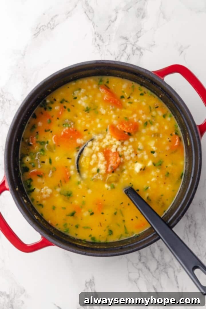 Overhead view of a pot of Italian penicillin soup with a ladle, showing its slightly thickened consistency before serving.
