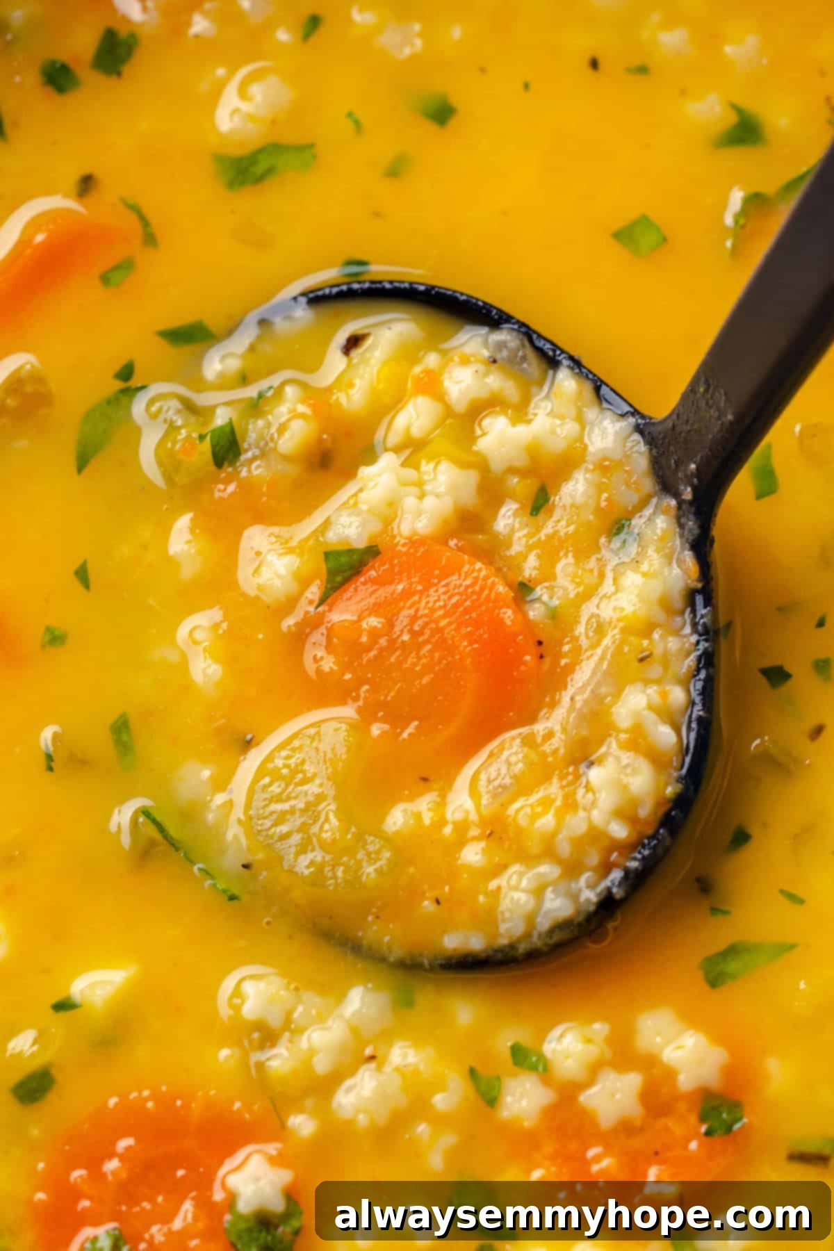 Close-up of a ladle holding a portion of vegan Italian penicillin soup, showcasing the small pastina and tender vegetables.