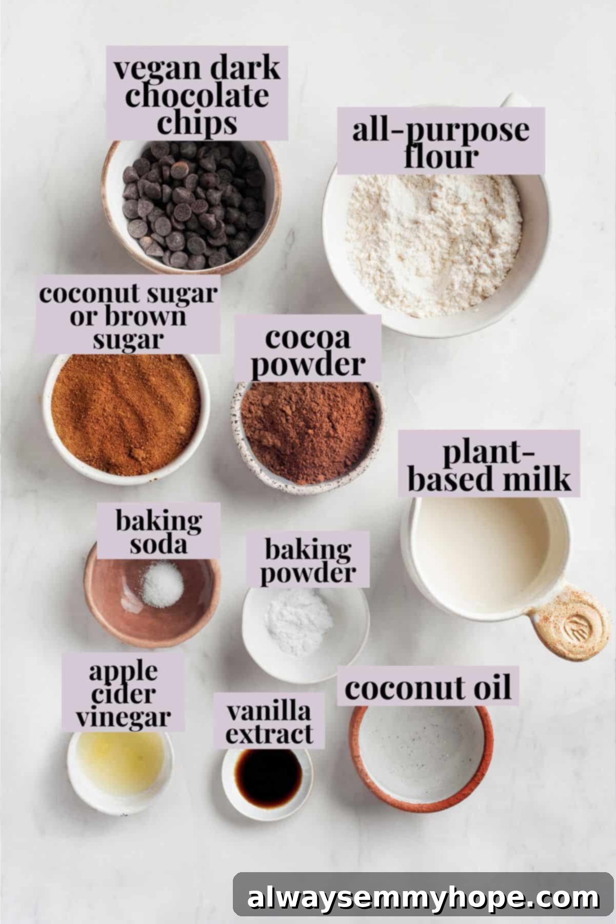 Fresh ingredients ready to be transformed into luscious vegan chocolate lava cakes. Overhead view of various ingredients laid out for vegan chocolate lava cake, including flour, cocoa powder, sugar, plant milk, and chocolate chips, each labeled for clarity.