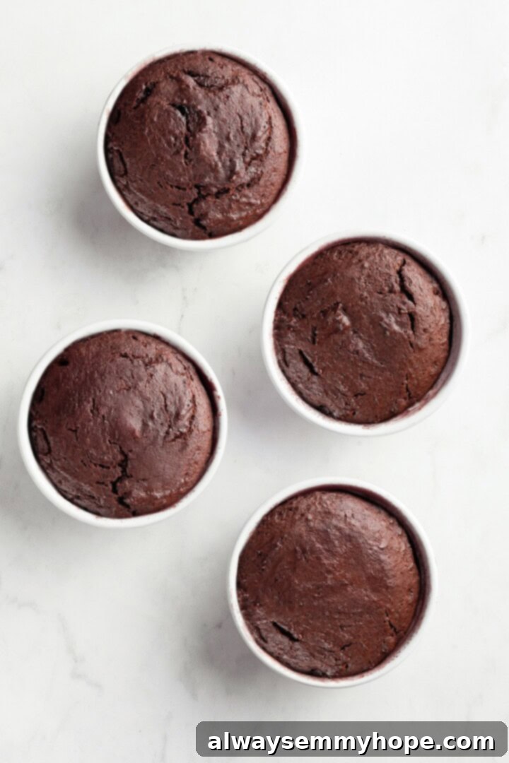 Baked vegan chocolate lava cakes, ready to be inverted and served. Overhead view of four perfectly baked vegan chocolate lava cakes in their ramekins, with slightly puffed edges and soft centers, ready to be inverted and served.