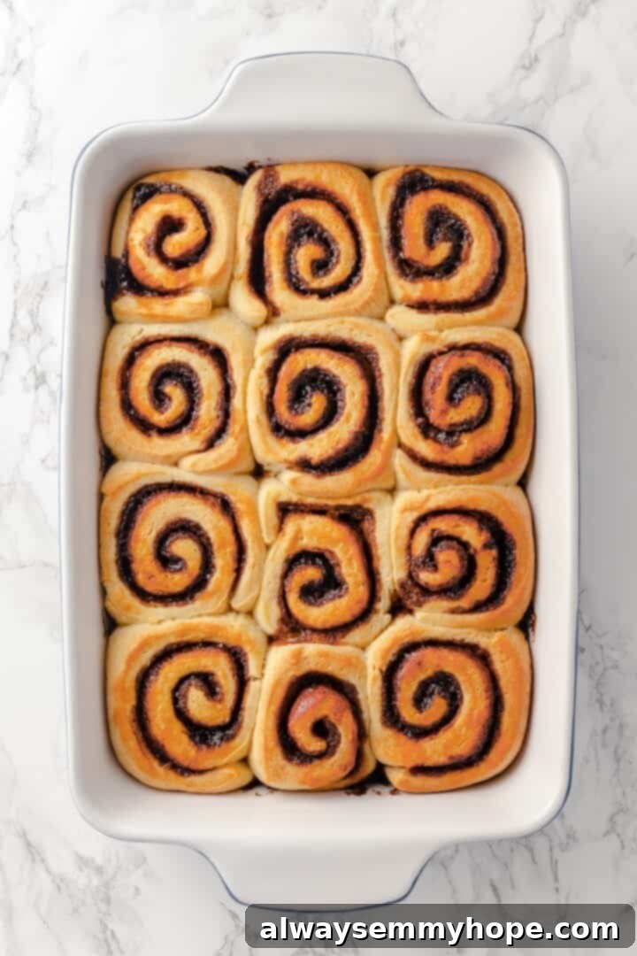Overhead view of honey buns before adding glaze