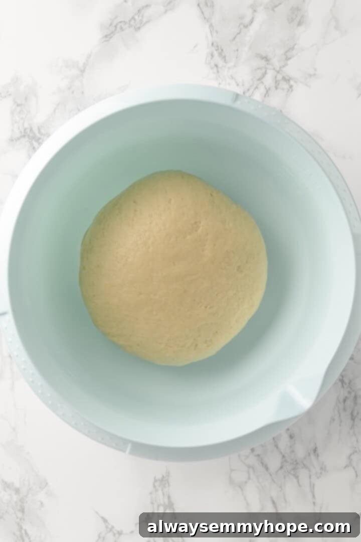 Dough in bowl before rising