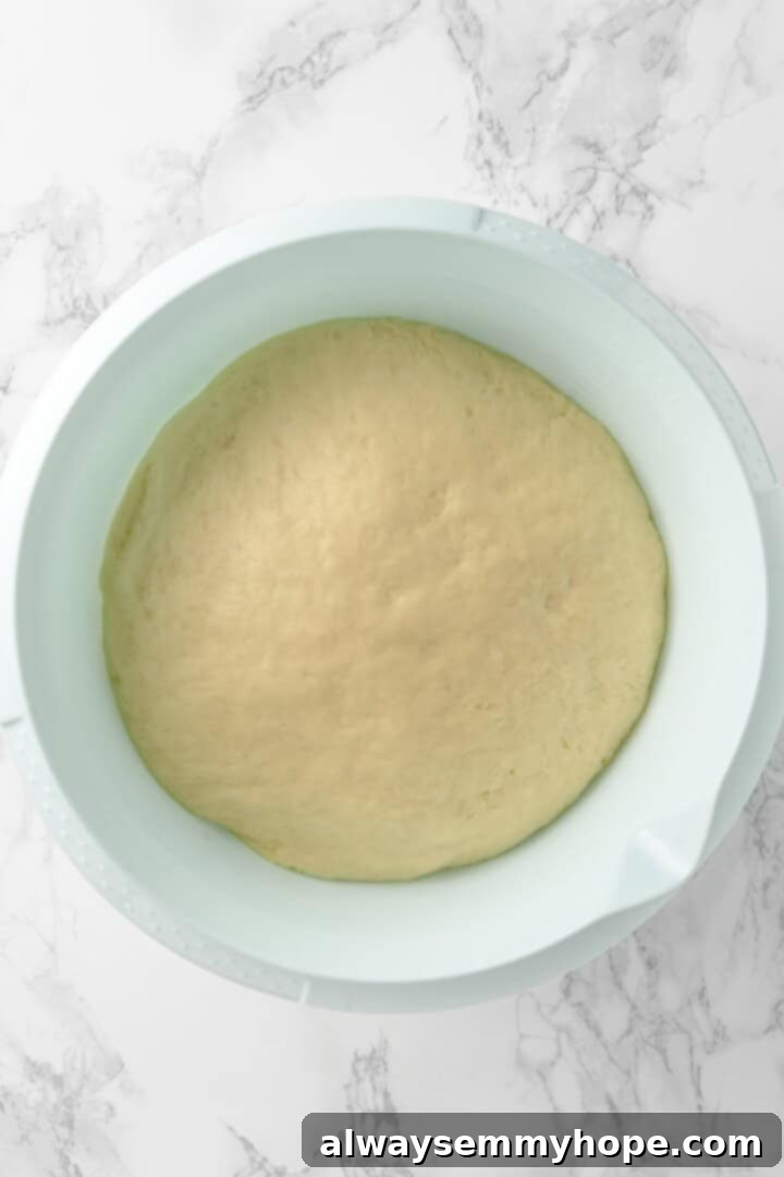 Dough in bowl after rising