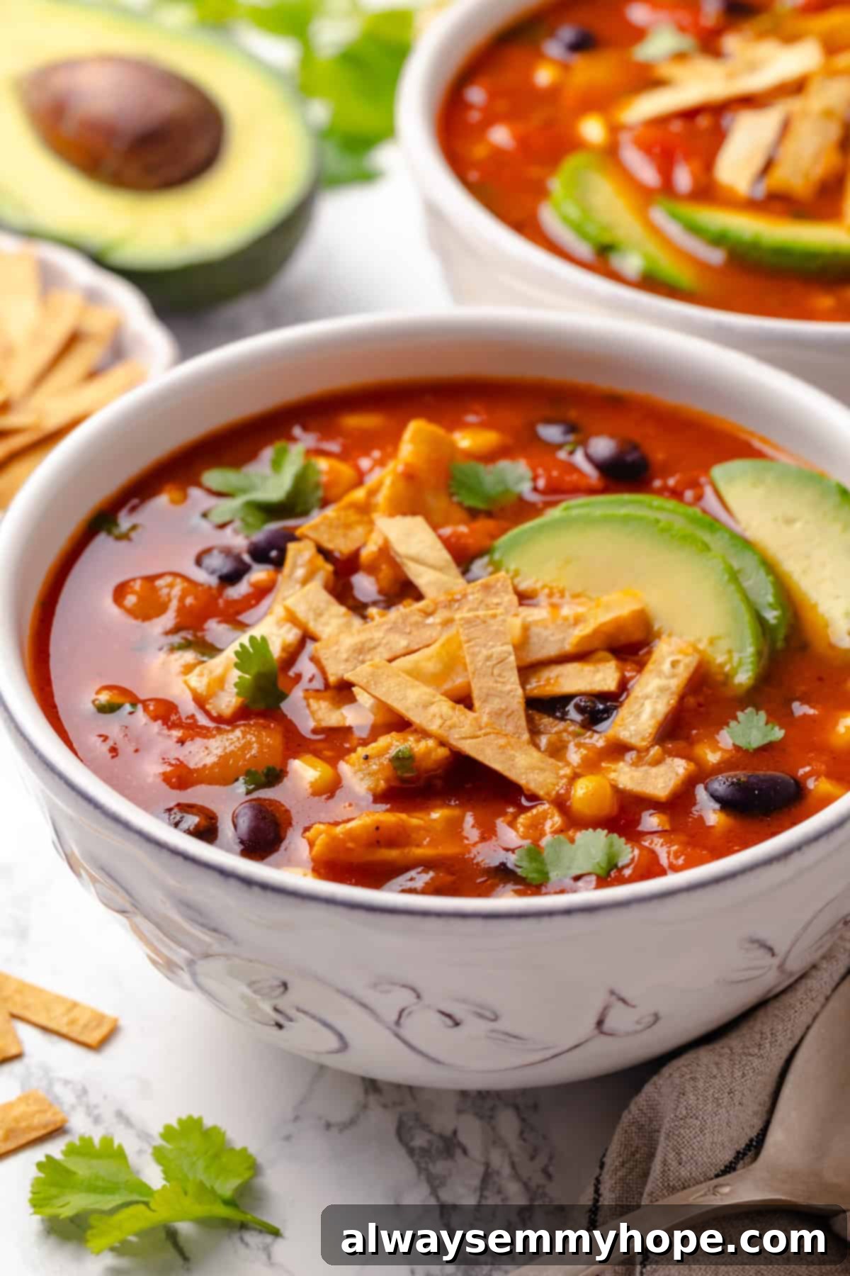 This vegan enchilada soup recipe has the flavor of enchiladas in a hearty bowl of soup. Loaded with beans, plant-based chicken and more! Bowl of vegan enchilada soup with crispy tortilla strips and fresh avocado slices on top