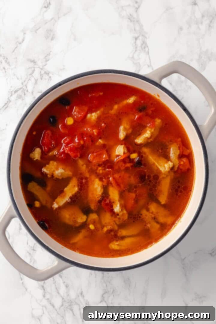 This vegan enchilada soup recipe has the flavor of enchiladas in a hearty bowl of soup. Loaded with beans, plant-based chicken and more! Overhead view of all soup ingredients (tomatoes, beans, corn, vegan chicken, broth, enchilada sauce) added to the Dutch oven before simmering