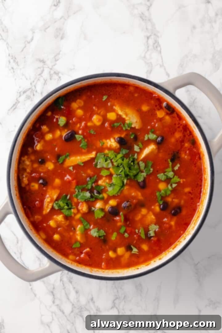 This vegan enchilada soup recipe has the flavor of enchiladas in a hearty bowl of soup. Loaded with beans, plant-based chicken and more! Overhead view of a Dutch oven filled with vegan enchilada soup, with fresh cilantro stirred in and ready to serve