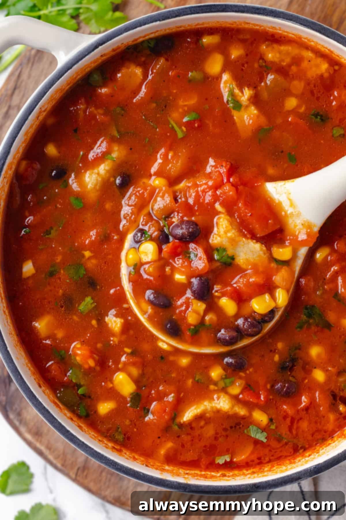 This vegan enchilada soup recipe has the flavor of enchiladas in a hearty bowl of soup. Loaded with beans, plant-based chicken and more! Close-up of a ladle scooping hearty vegan enchilada soup from a red Dutch oven