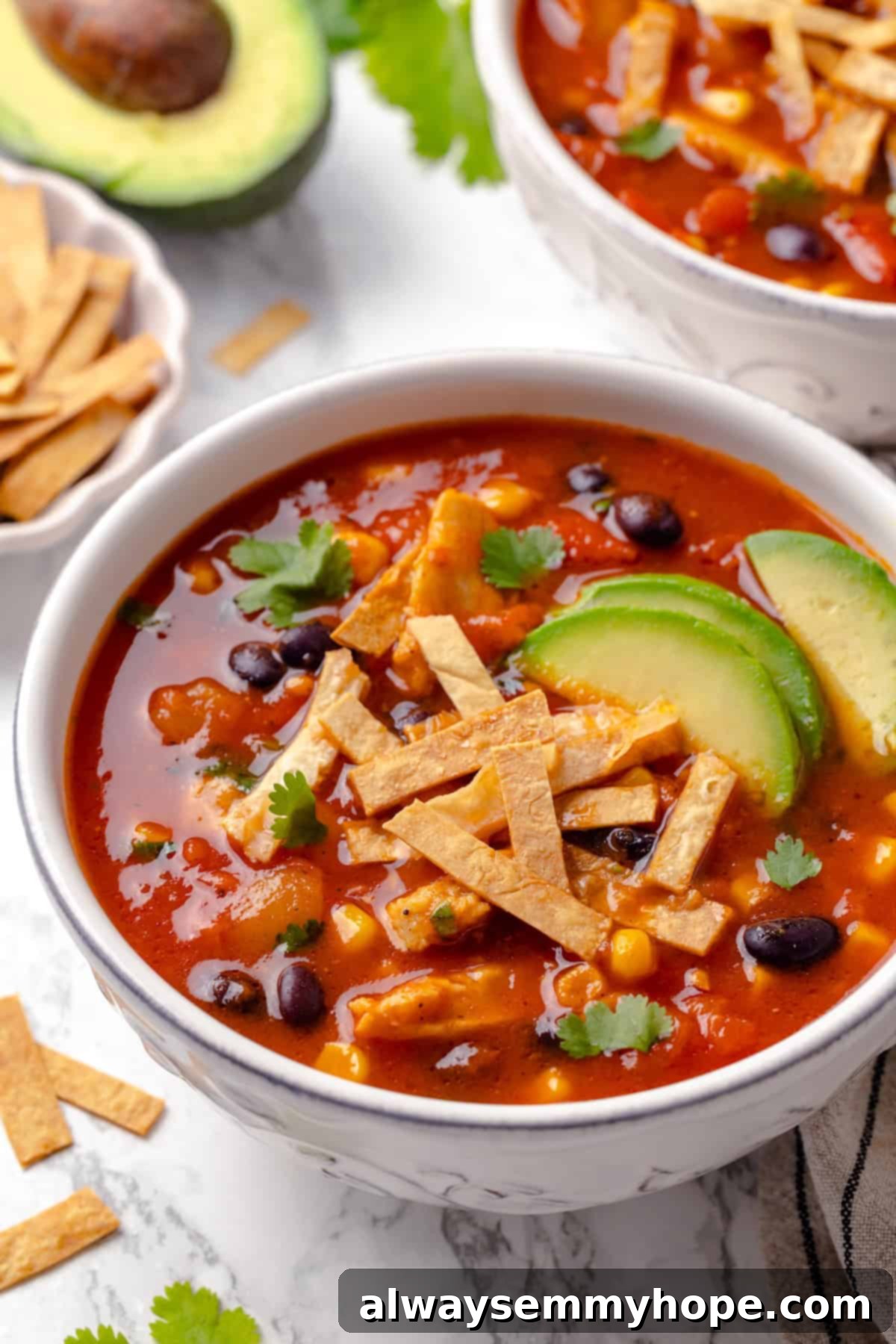 This vegan enchilada soup recipe has the flavor of enchiladas in a hearty bowl of soup. Loaded with beans, plant-based chicken and more! Close-up bowl of vegan enchilada soup garnished with crispy tortilla strips and fresh cilantro