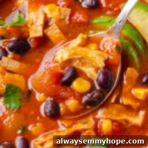 Ultimate Enchilada Soup 2 Spoonful of enchilada soup in bowl