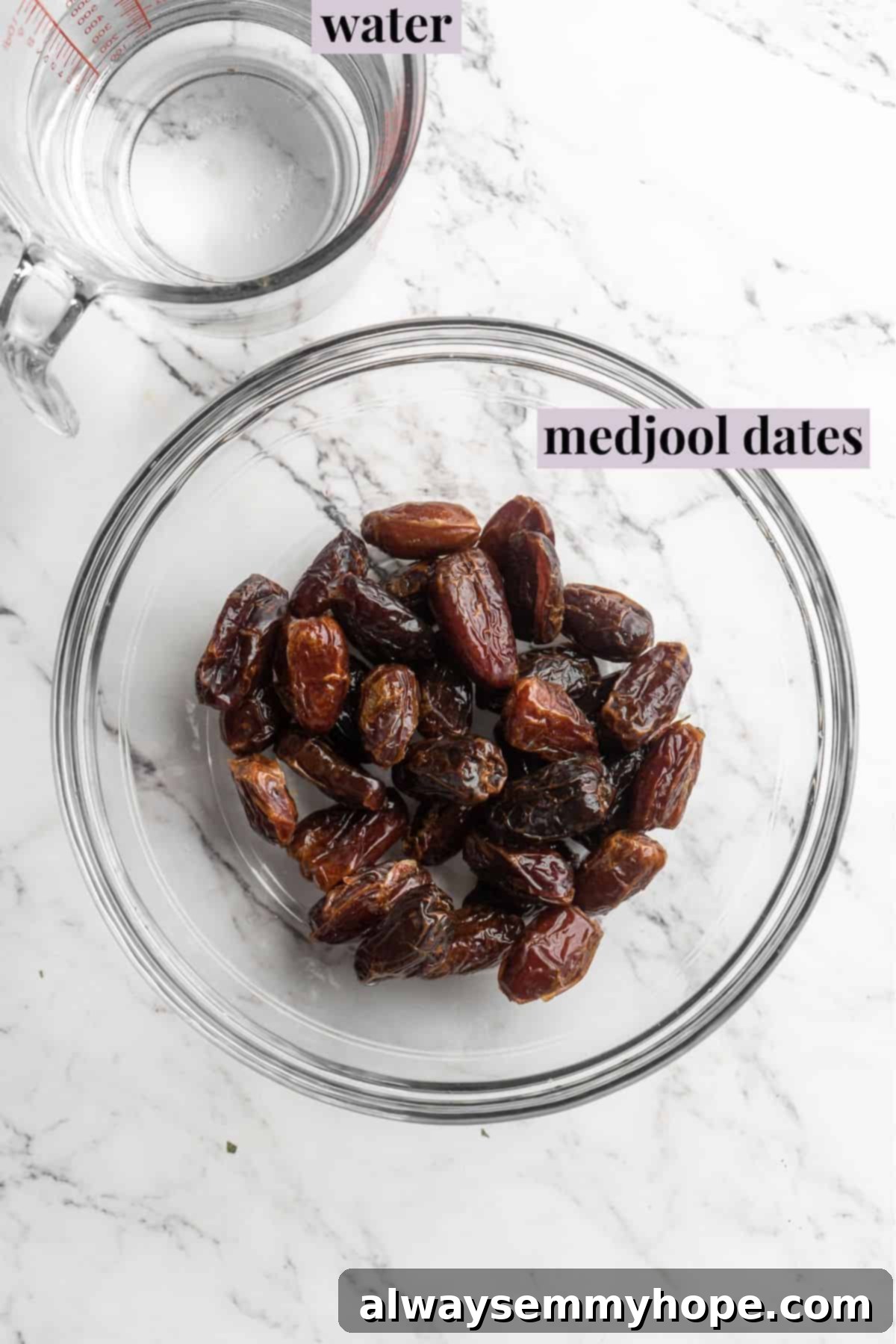 Overhead view of the two simple ingredients required to make delicious date syrup: Medjool dates and water