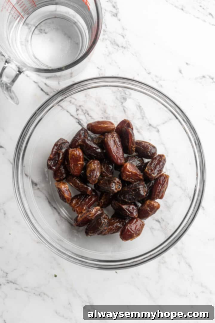 Overhead view of plump, pitted Medjool dates neatly arranged in a bowl, ready for syrup preparation