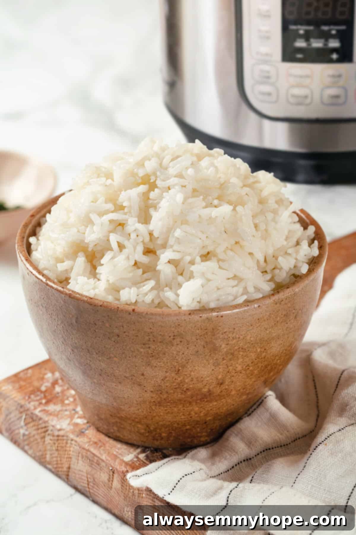 Jasmine rice in bowl with Instant Pot in background