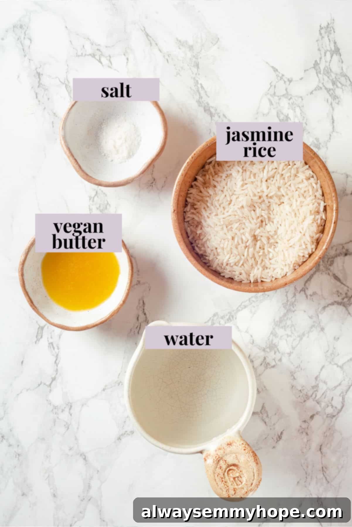 Overhead view of ingredients for Instant Pot jasmine rice