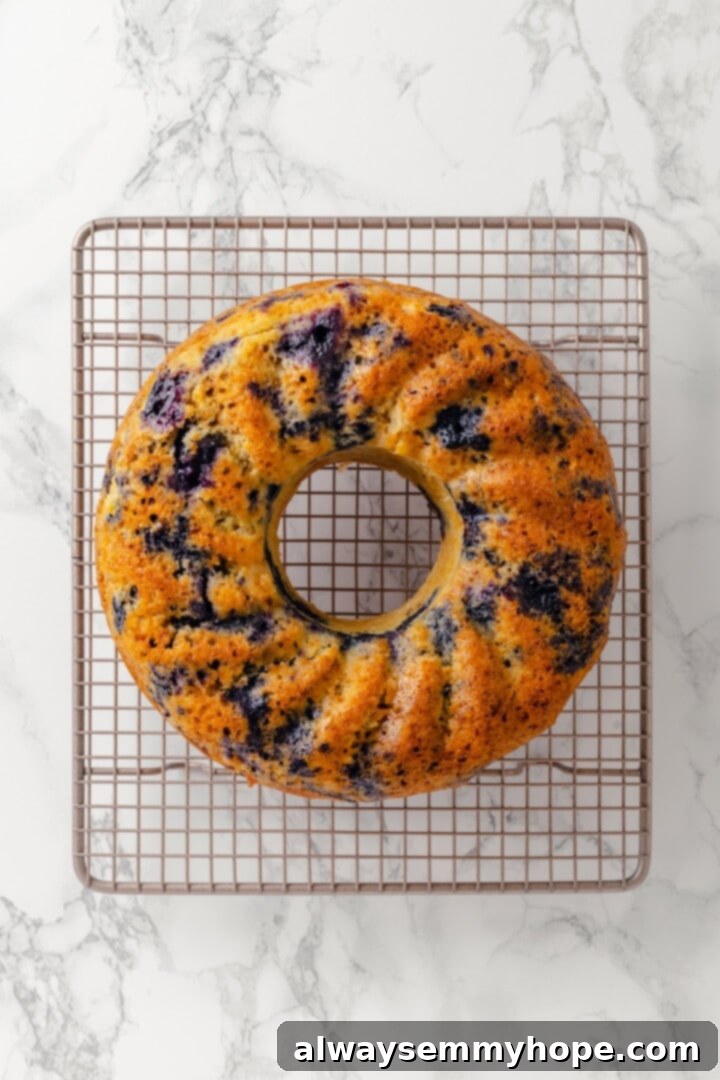 Cool the baked Bundt cake completely. Overhead view of a baked lemon blueberry Bundt cake, golden brown and perfectly formed, cooling on a wire rack before glazing.