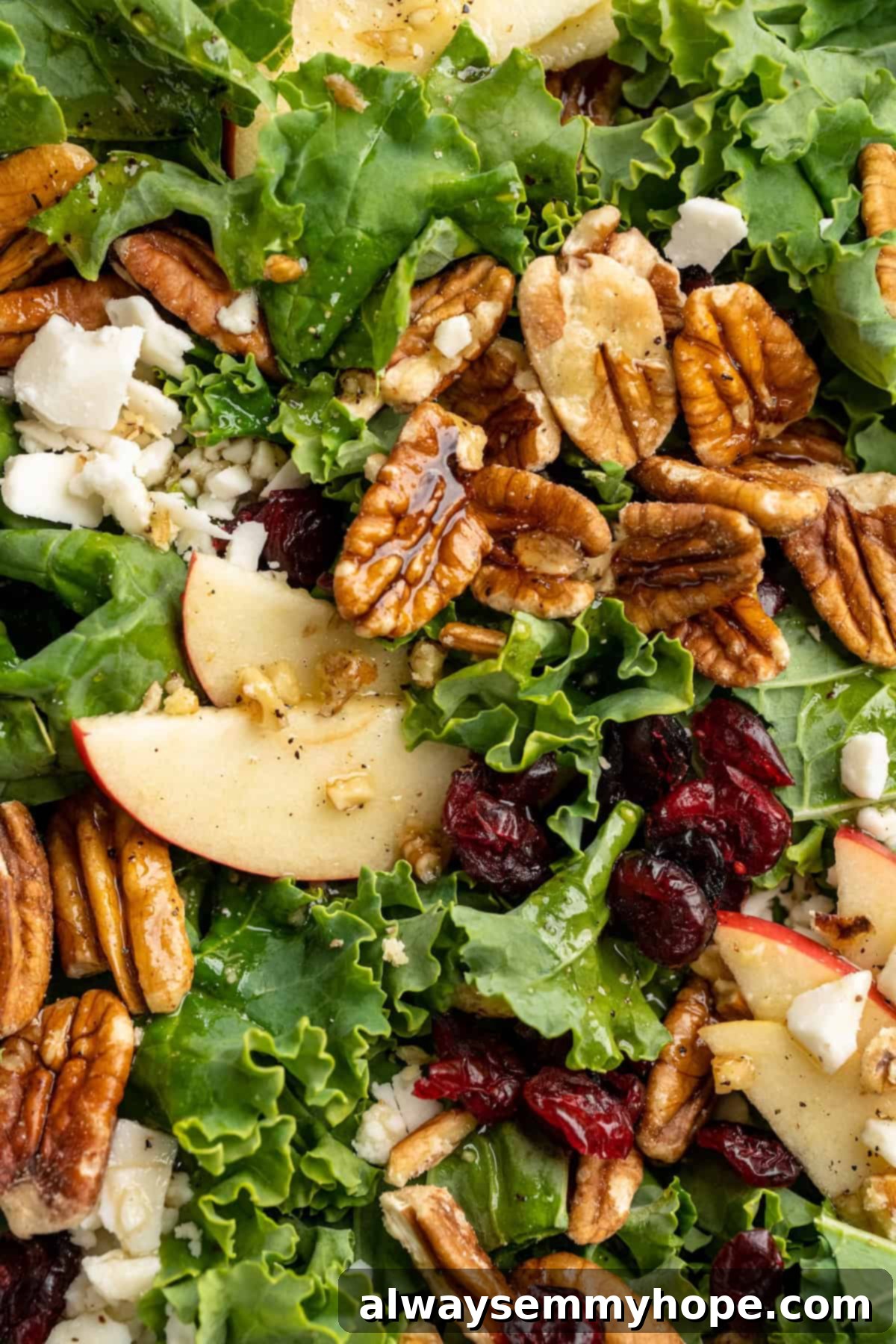 This vegan Apple, Pecan and Feta Salad is loaded with fall flavour! Sweet and crunchy, with a peppery maple vinaigrette to bring it together. Overhead closeup view of a single serving of the vegan apple, pecan, and feta salad, highlighting its fresh ingredients and textures.