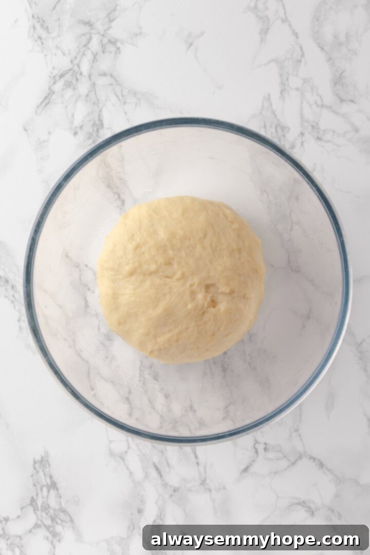 Overhead shot of freshly kneaded donut dough resting in a greased glass bowl, covered and ready for its first rise.