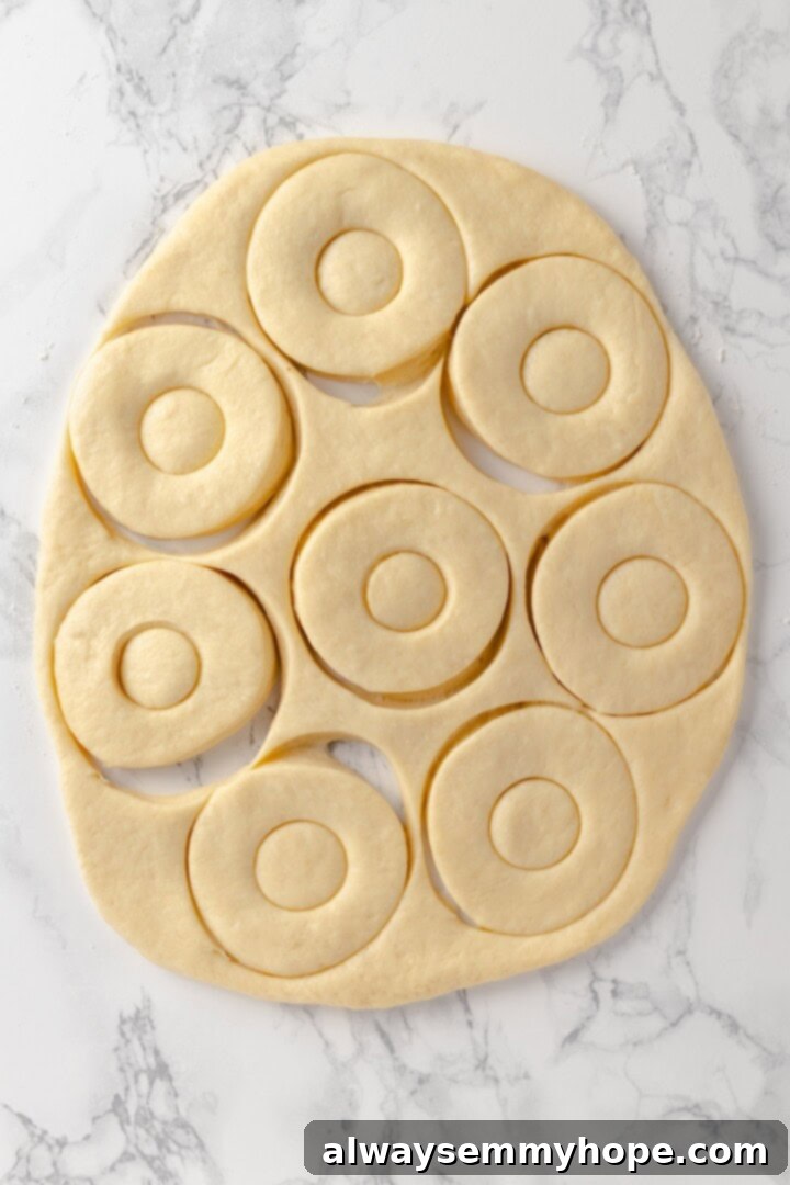 Overhead view of perfectly cut donut shapes and donut holes arranged on a marble work surface, ready for their second rise.