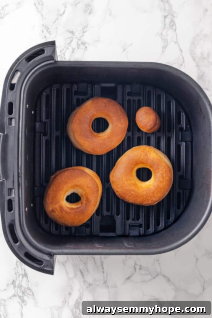 Overhead view of perfectly golden-brown air fryer donuts nestled in the air fryer basket after cooking.
