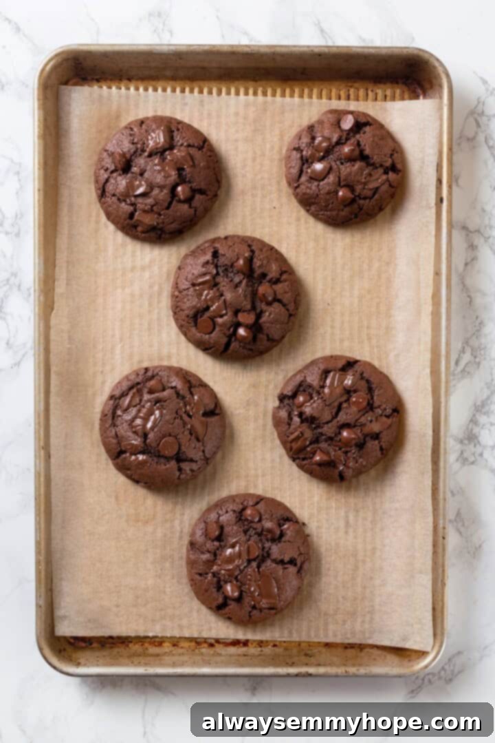 These double chocolate chunk cookies feature a rich, chewy chocolate cookie dough loaded with chocolate chips and dark chocolate chunks. Yum! Overhead view of double chocolate chunk cookies on parchment-lined baking sheet
