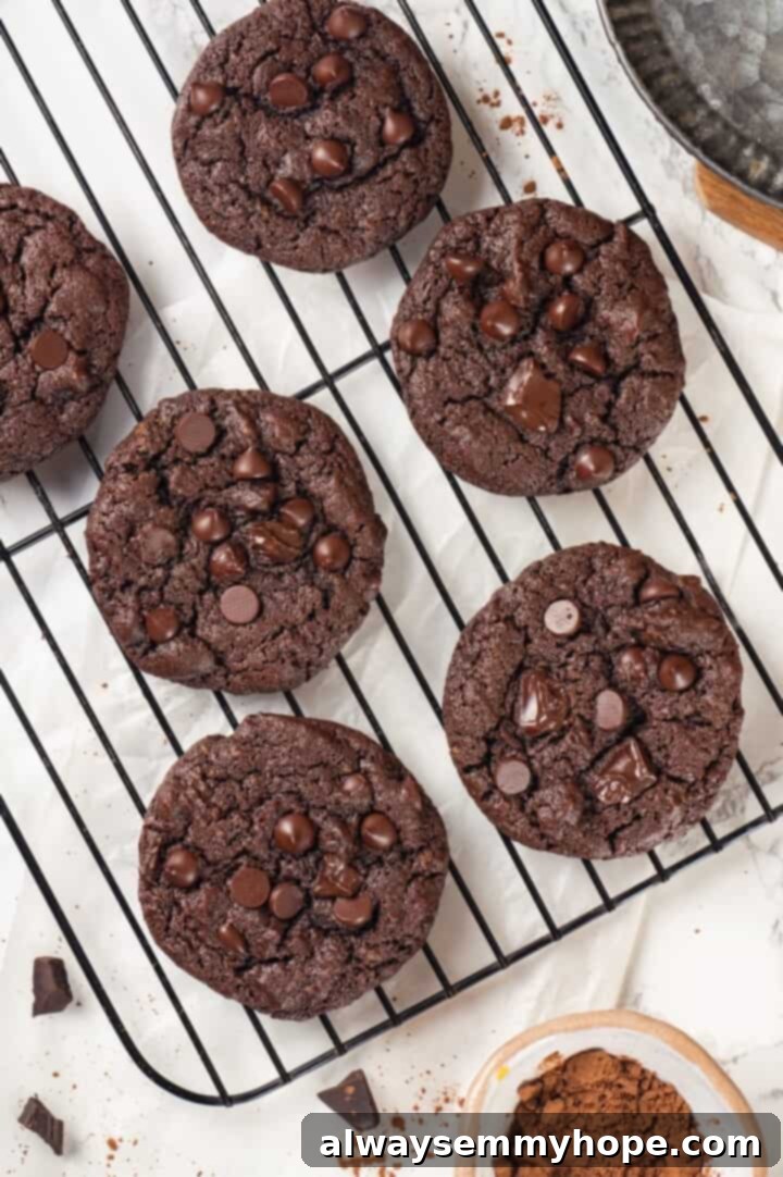These double chocolate chunk cookies feature a rich, chewy chocolate cookie dough loaded with chocolate chips and dark chocolate chunks. Yum! Overhead view of double chocolate chunk cookies cooling on wire rack