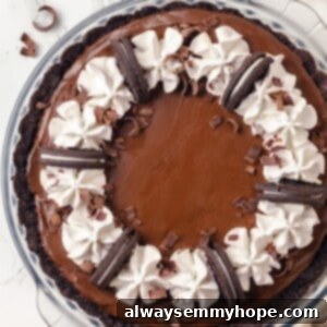 Decadent Chocolate Mousse Pie 2 Overhead view of whole chocolate mousse pie in glass pie dish
