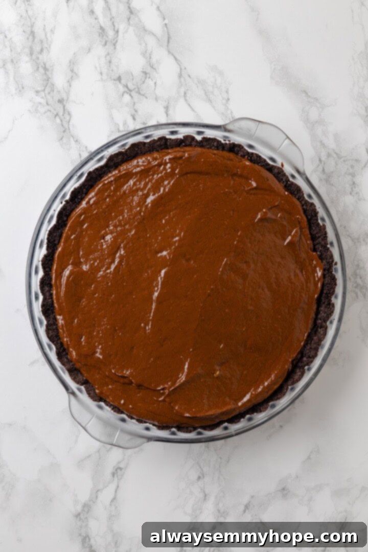 With an Oreo crust, decadent vegan mousse filling, and coconut whipped cream, this chocolate mousse pie recipe is absolutely irresistible! Overhead view of chocolate mousse filling being poured into the baked Oreo crust