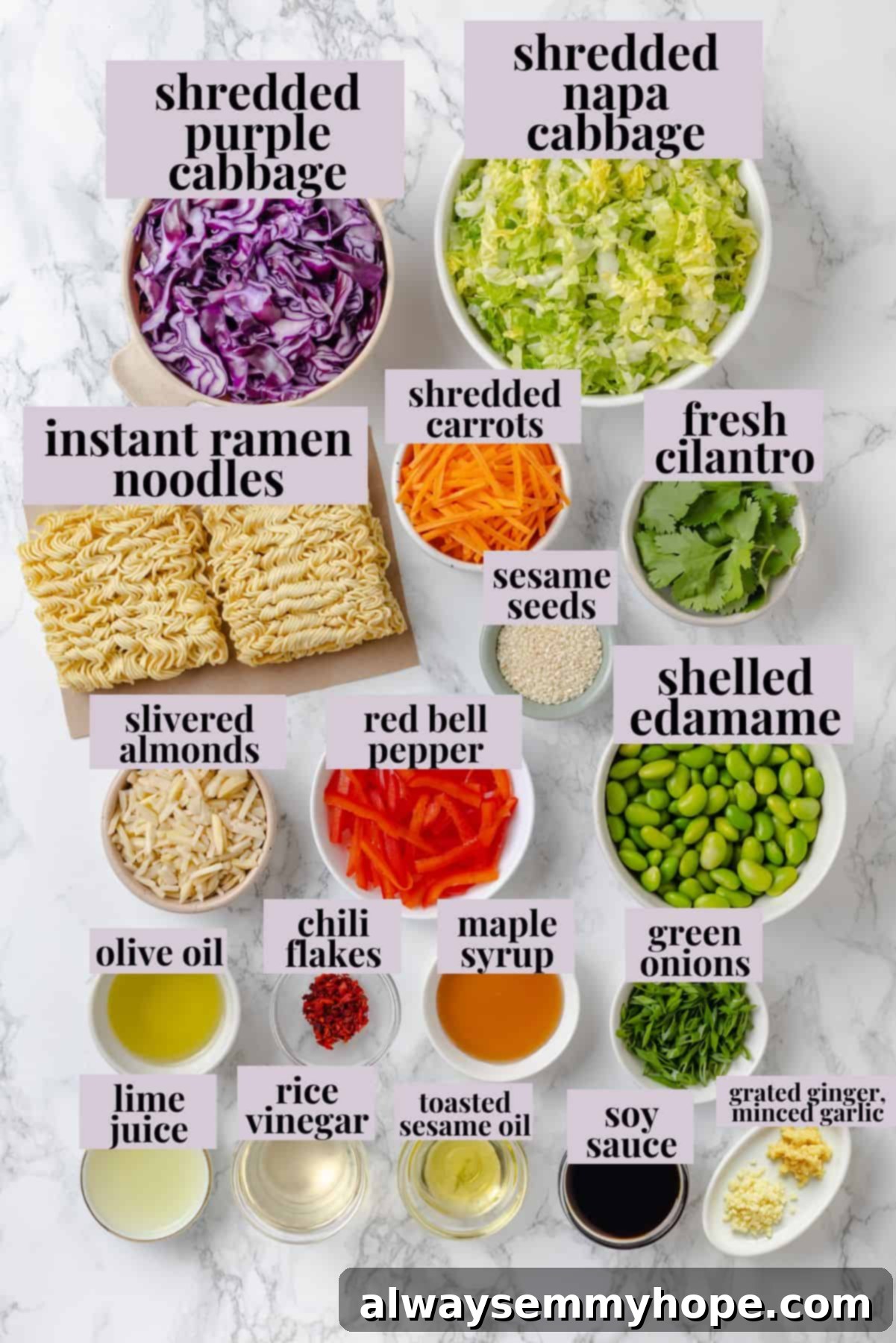 With crunchy noodles, almonds, cabbage and tender edamame in a zippy ginger dressing, this ramen noodle salad recipe is easy and delicious! Overhead view of ingredients for ramen noodle salad recipe