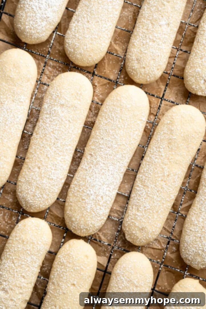 Overhead view of vegan ladyfingers on wire rack with dusting of powdered sugar