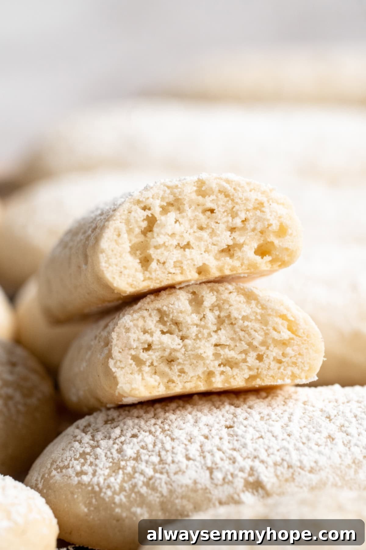 Closeup of vegan ladyfinger broken in half to show light, airy texture