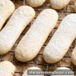 Powdered sugar dusted vegan ladyfingers on cooling rack