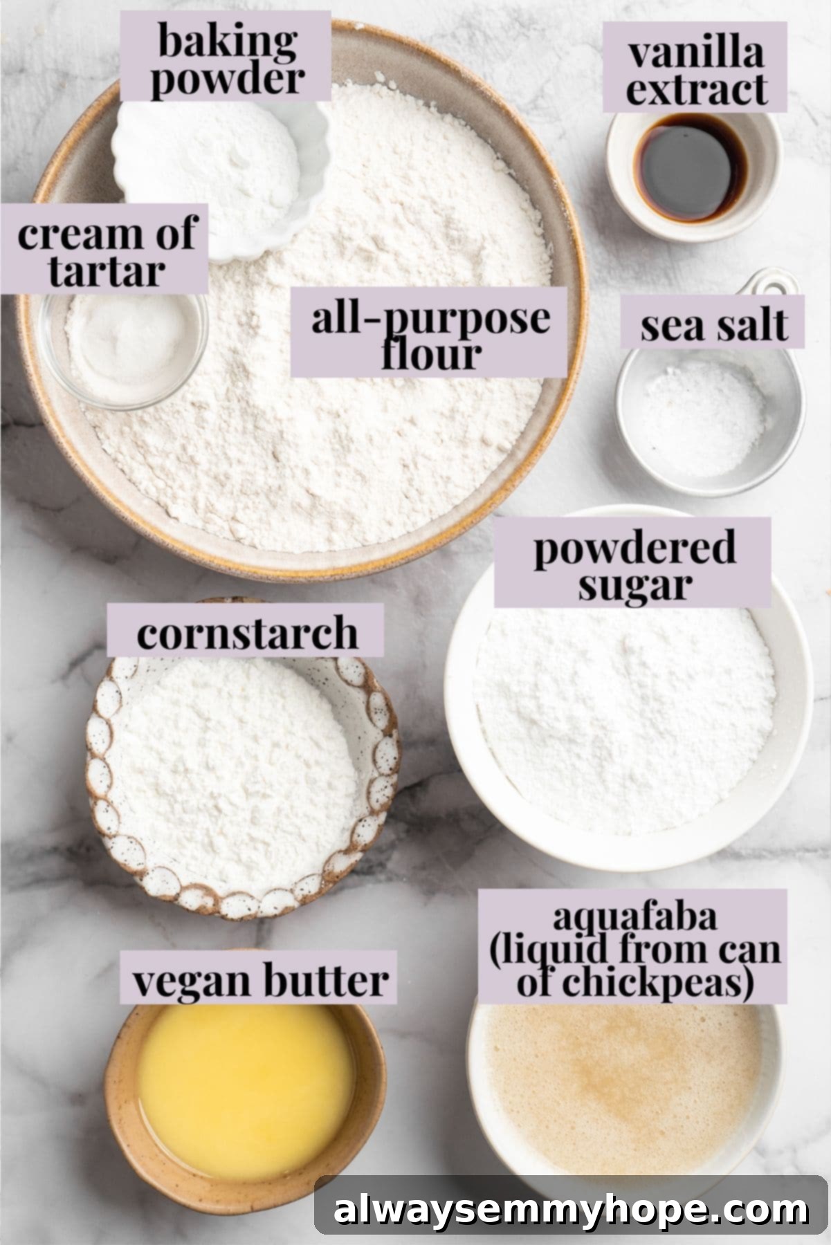 Overhead view of ingredients for vegan ladyfingers