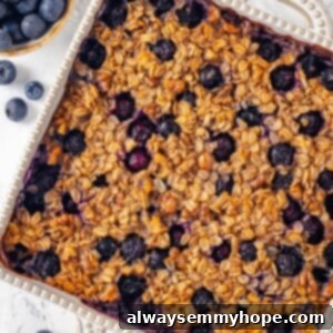 Wholesome Blueberry Baked Oatmeal 2 Overhead view of blueberry baked oatmeal in baking dish