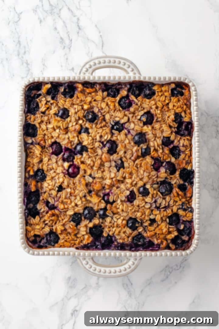 This baked oatmeal recipe is an easy meal prep breakfast! It's hearty and wholesome, with juicy berries and crunchy walnuts in every bite. Overhead view of blueberry baked oatmeal in baking dish, freshly baked