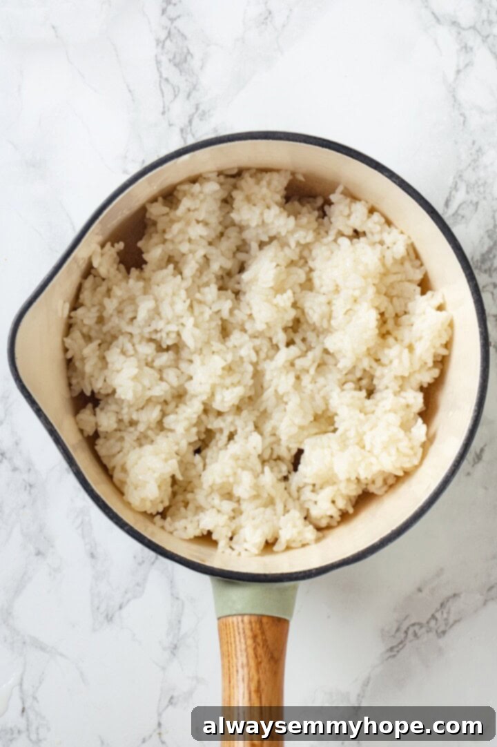 Overhead view of sushi rice in pan
