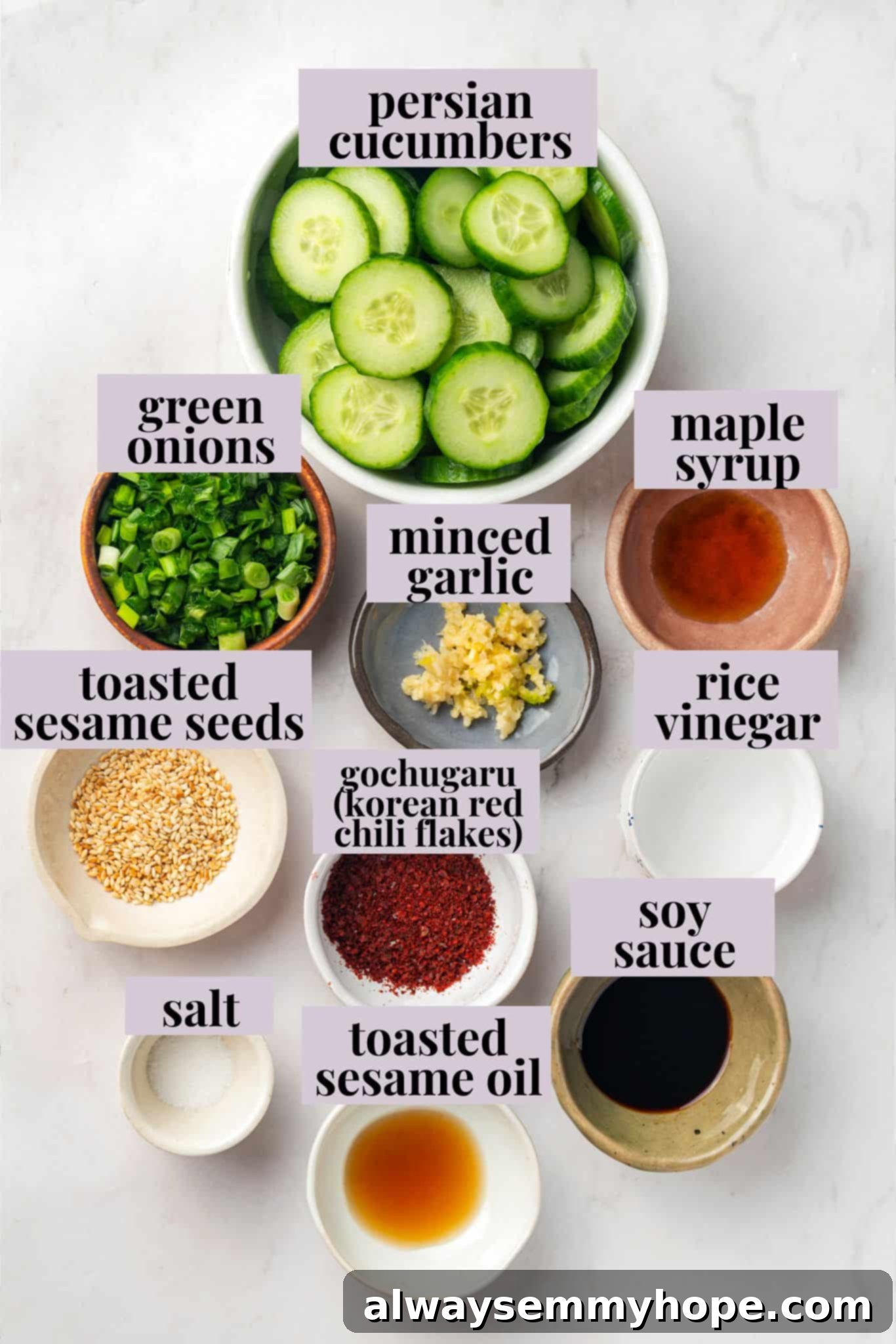 Crisp, refreshing, and full of bold flavour, this spicy Korean cucumber salad recipe is an easy side dish you’ll make all summer long! Overhead view of ingredients for Korean cucumber salad with labels, laid out neatly