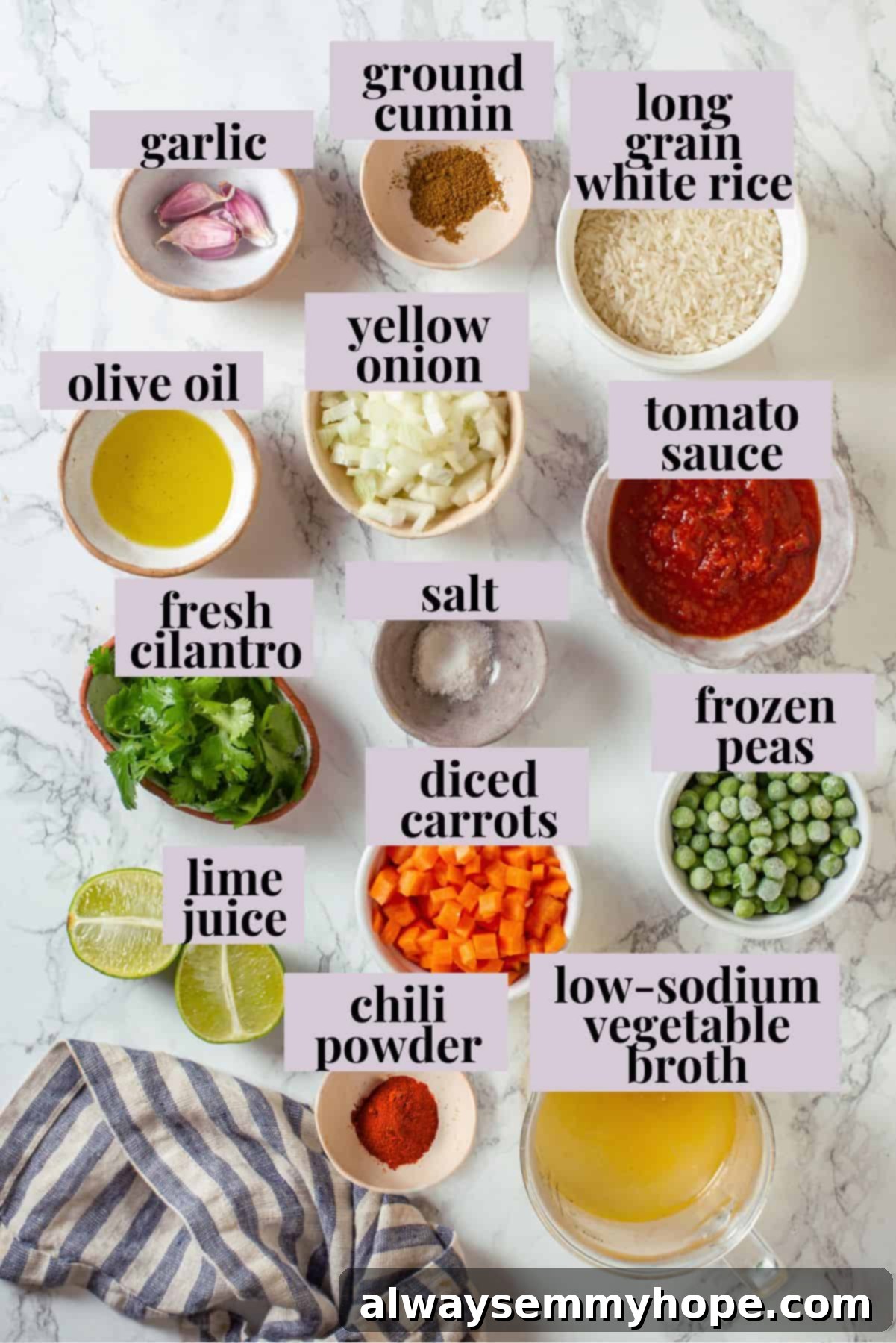 Instant Pot Mexican Rice is a total game-changer! It turns out perfectly cooked and fluffy every time. This easy recipe will be your go-to! Overhead view of ingredients for Instant Pot Mexican rice