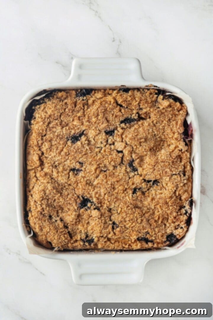A little bit like coffee cake, this Blueberry Buckle is loaded with berries, then topped with brown sugar cinnamon streusel. So delicious! Overhead view of a baked golden-brown vegan blueberry buckle in a ceramic baking dish, ready to cool.