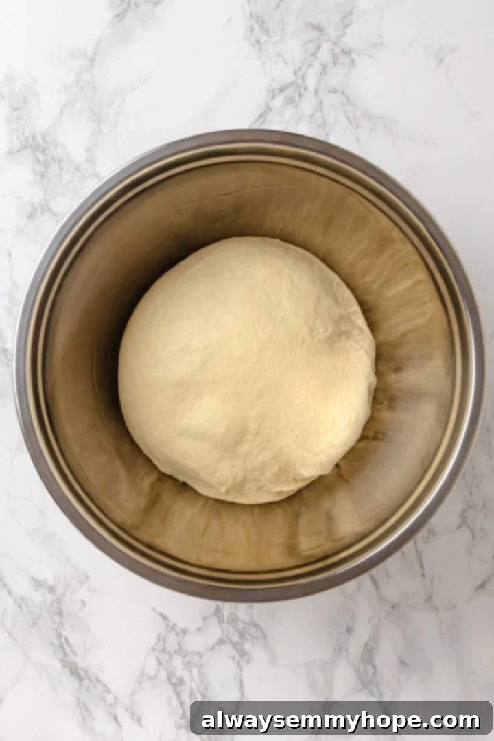 Shape the French bread dough into a ball and place it in an oiled bowl for its first proof. Overhead view of French bread dough shaped into a smooth ball, resting in a lightly oiled bowl before its first rise.