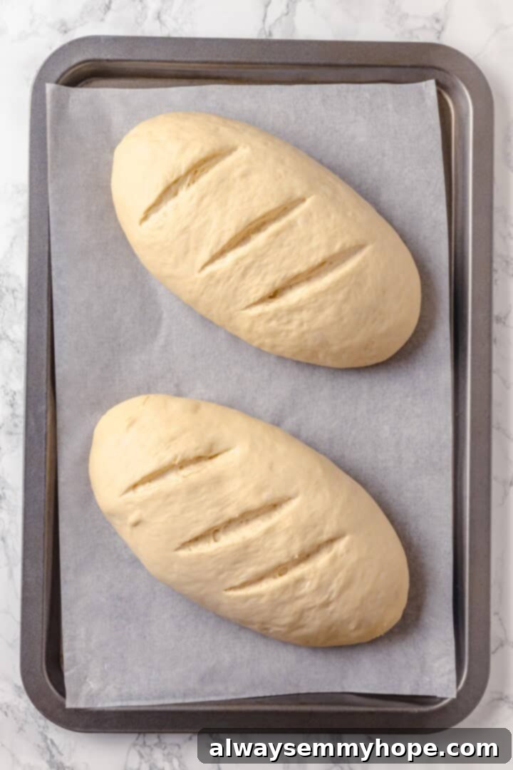 Shape, allow to rise again until puffy, and then score your homemade French bread loaves before baking. Overhead view of two unbaked French bread loaves, perfectly shaped and risen, scored diagonally on a parchment-lined baking sheet, ready for the oven.
