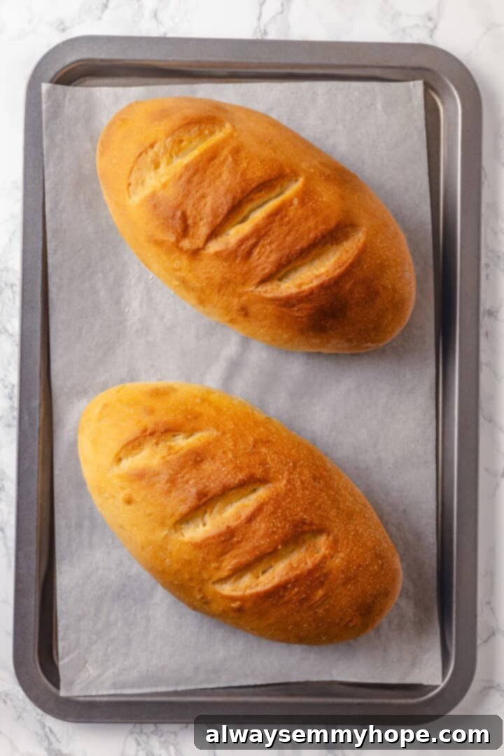 Bake the French bread loaves until golden and crusty, producing a delicious homemade treat. Overhead view of two perfectly baked, golden-brown French bread loaves cooling on a sheet pan, showcasing their beautiful crust.