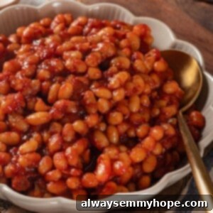 Wholesome Vegan Baked Beans 2 Bowl of baked beans with spoon