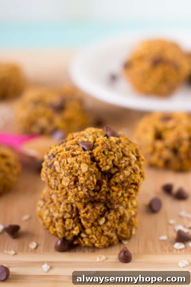 These Pumpkin Breakfast Cookies are super tasty, gluten free and vegan! They make a quick and easy breakfast on the go. A table with freshly baked pumpkin breakfast cookies, ready to be enjoyed as a healthy and quick breakfast on the go.