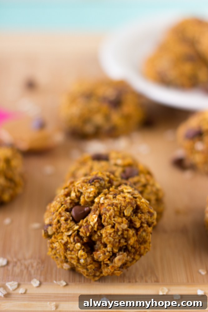 These Pumpkin Breakfast Cookies are super tasty, gluten free and vegan! They make a quick and easy breakfast on the go. Close up shot of a single pumpkin breakfast cookie on a rustic wooden table top, highlighting its soft, chewy texture and delicious ingredients.